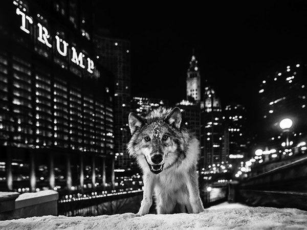 Photo by David Yarrow